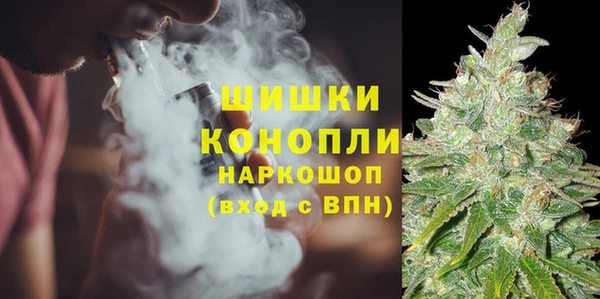 бошки Алексин